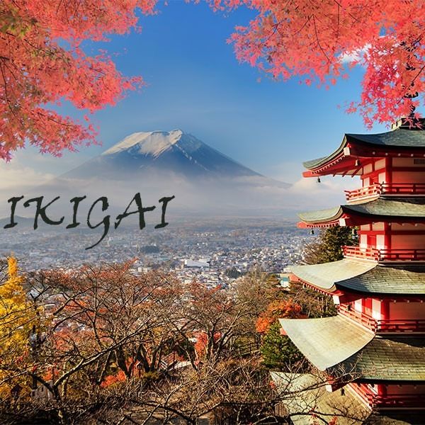 Ontdek Je Ikigai: Balans, Passie en Zingeving. Een Japans concept toegepast op onze Westerse Wereld
